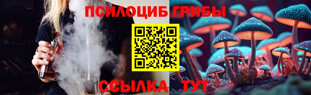 Луховицы  Галлюциногенные грибы GOLDEN TEACHER  магазин продажи наркотиков  Вход с VPN 